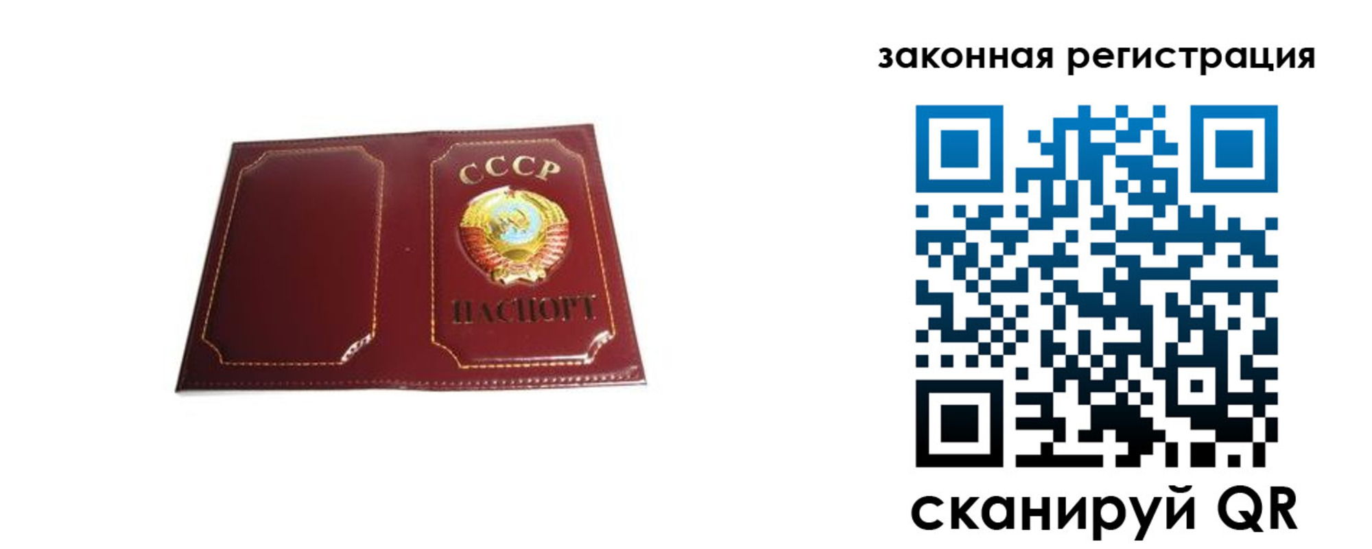 прописка поиск в Сельцо
